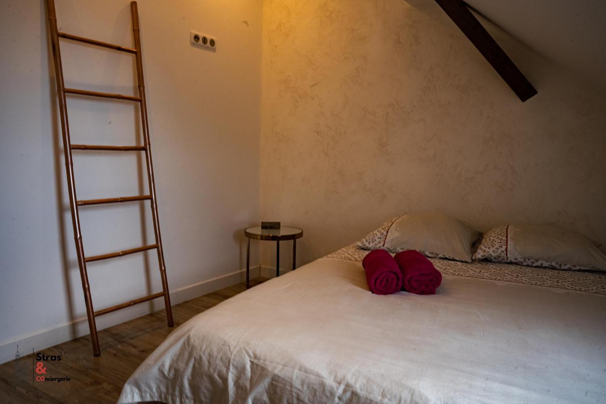 Belles Combles Alsaciennes Au Centre De Strasbourg Apartment Exterior photo