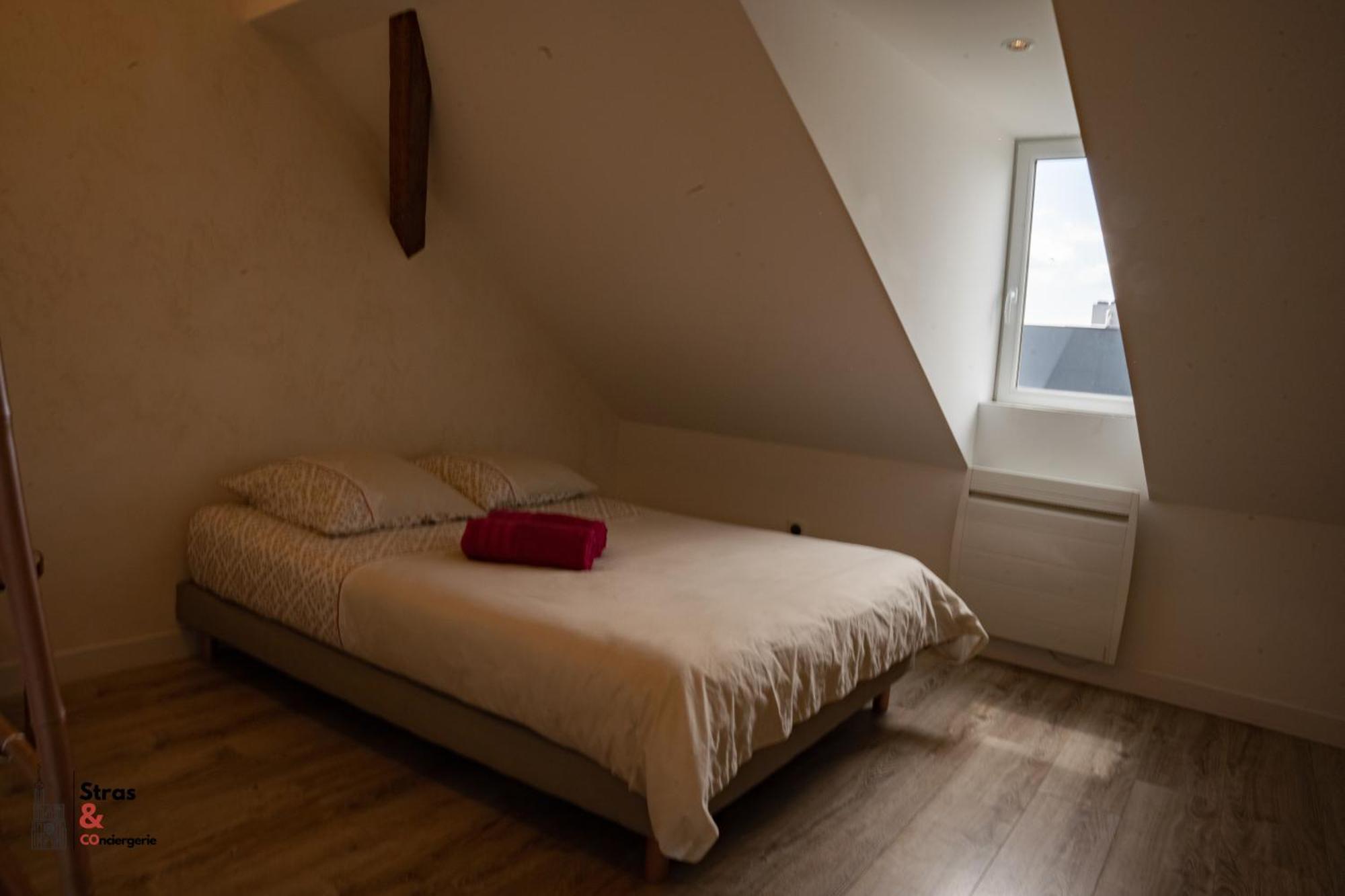 Belles Combles Alsaciennes Au Centre De Strasbourg Apartment Exterior photo